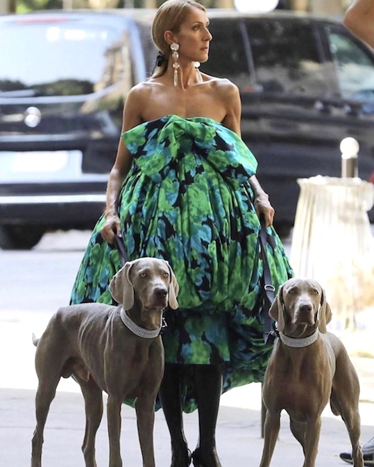 Serious cuteness alert
